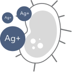 silver-ion-attach